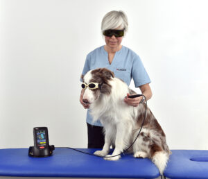 K Laser Cube P30 VET Application BFU 5268 elektrostimulator