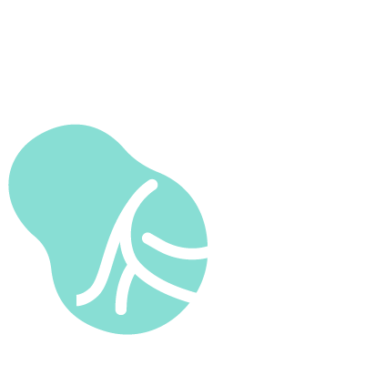 Asset elektrostimulator